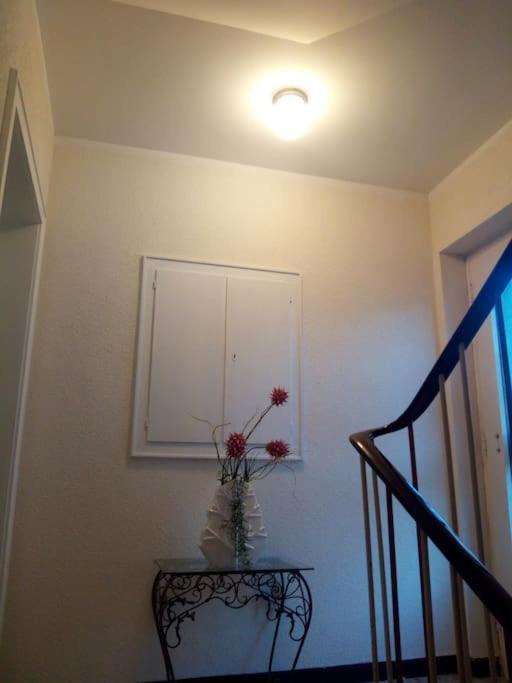 Ferienwohnung Marita Rietberg Dış mekan fotoğraf